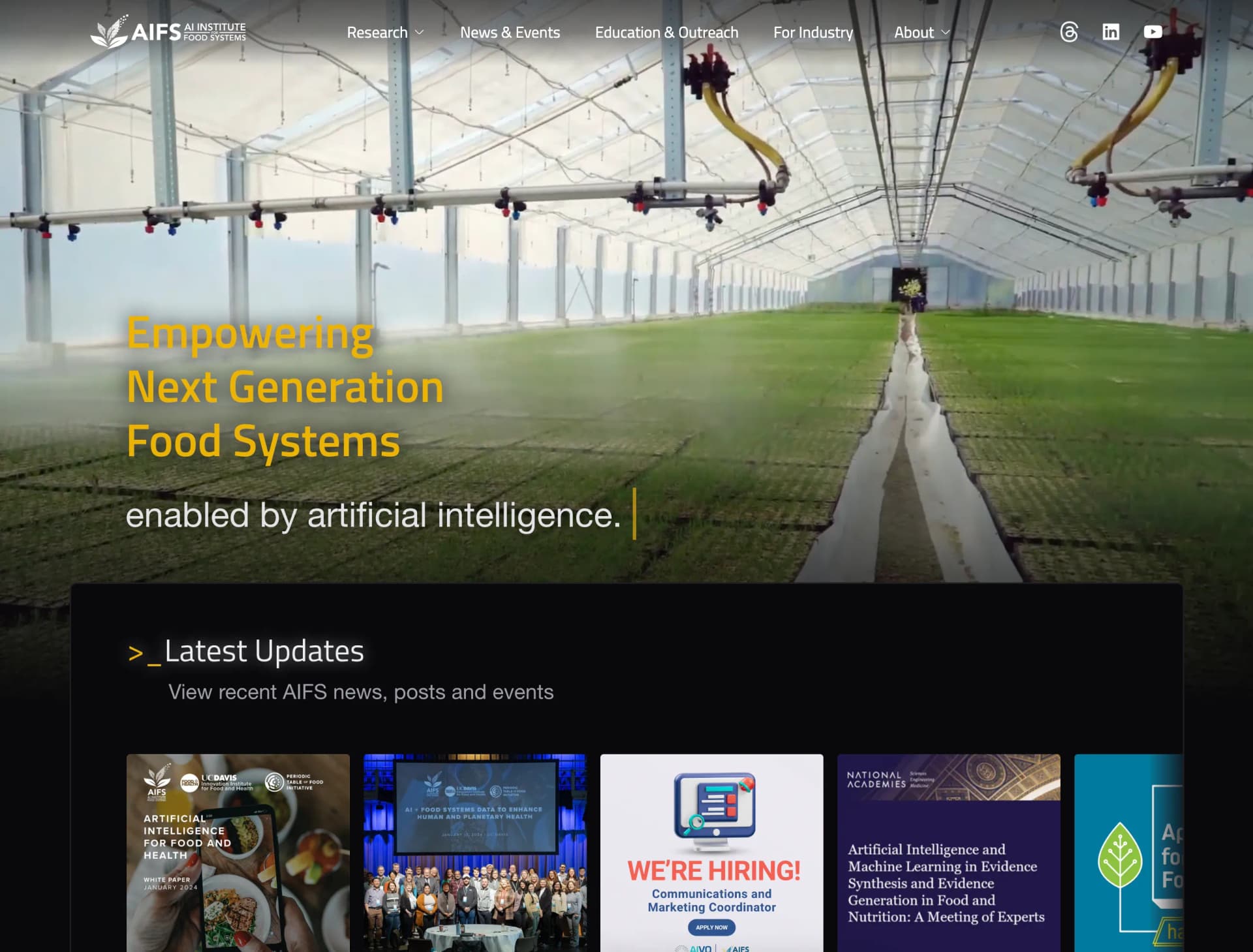 AIFS Website screenshot 1
