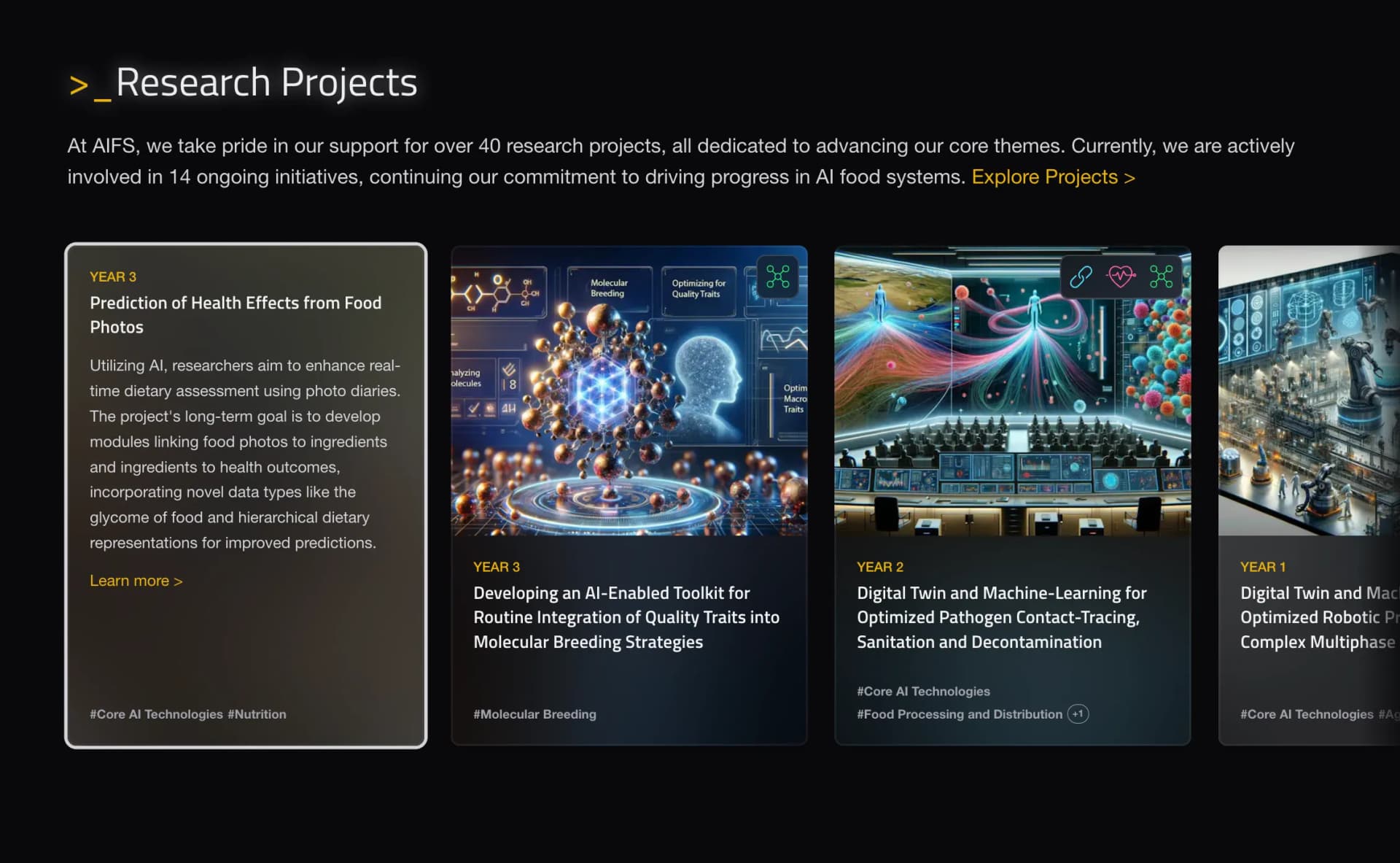 AIFS Website screenshot 4